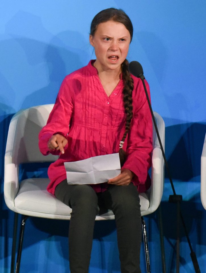  The teenager made an impassioned speech to the UN berating world leaders for a lack of action on climate change