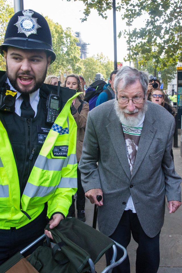 The eldest detainee, John Lynes, 91, who was protesting outside the Cabinet Office