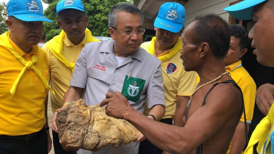  A fisherman discovered this unpromising block of whale vomit on Koh Samui beach in Southern Thailand before officials confirmed it could fetch as much as £250,000
