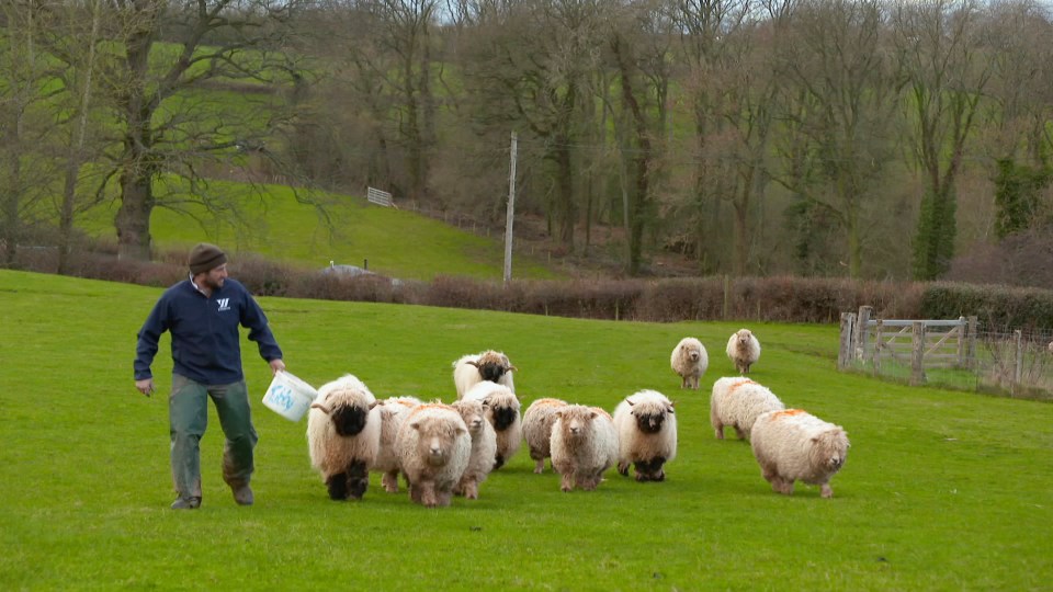  The documentary sees William meet farmers on his father's land