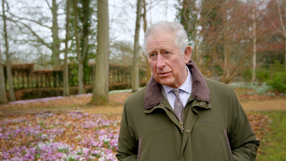  Charles said that hearing his son pay tribute to his work 'made the last 50 years worthwhile'