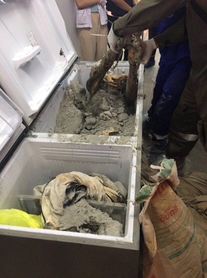  The Thai philanthropist was found entombed in concrete and stuffed in her own fridge