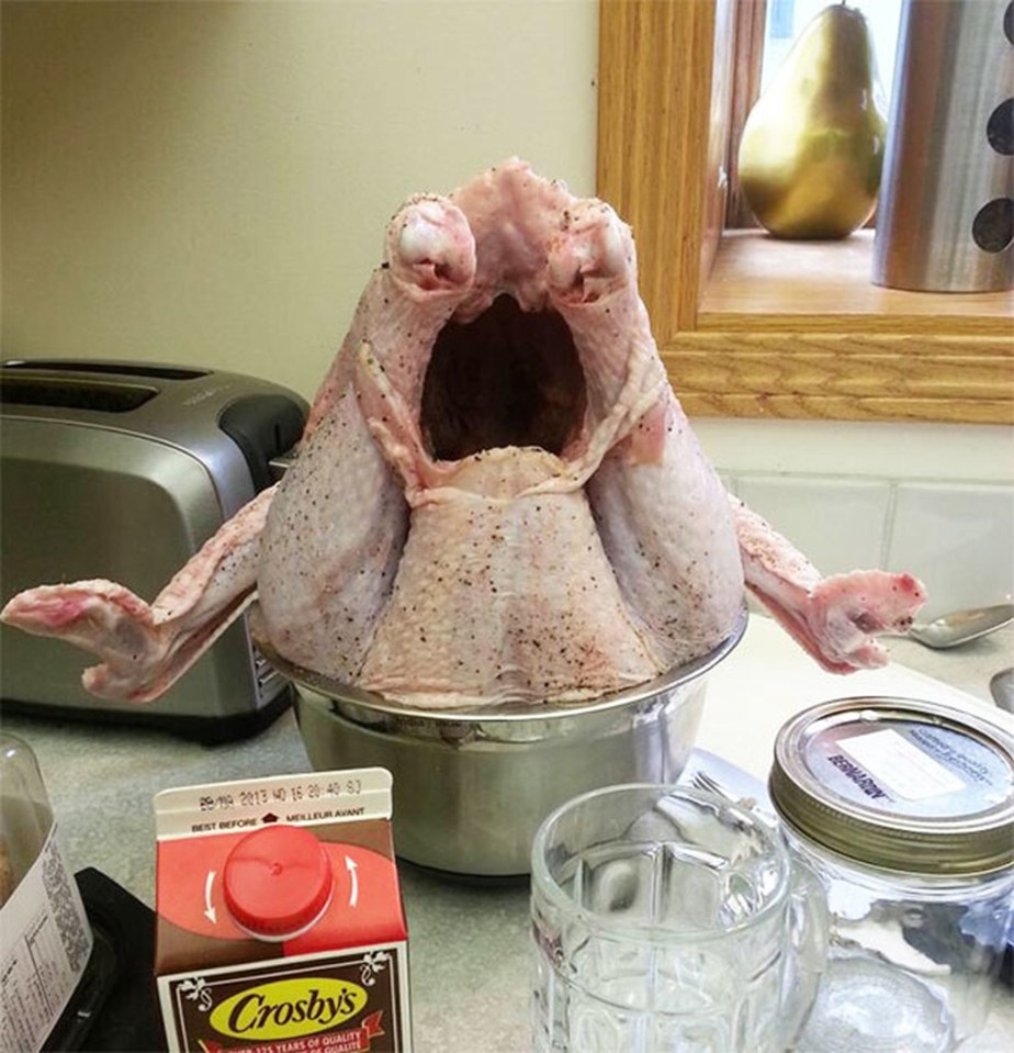 This chicken’s rear end has been turned into a right howler