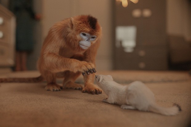 His Dark Materials monkey