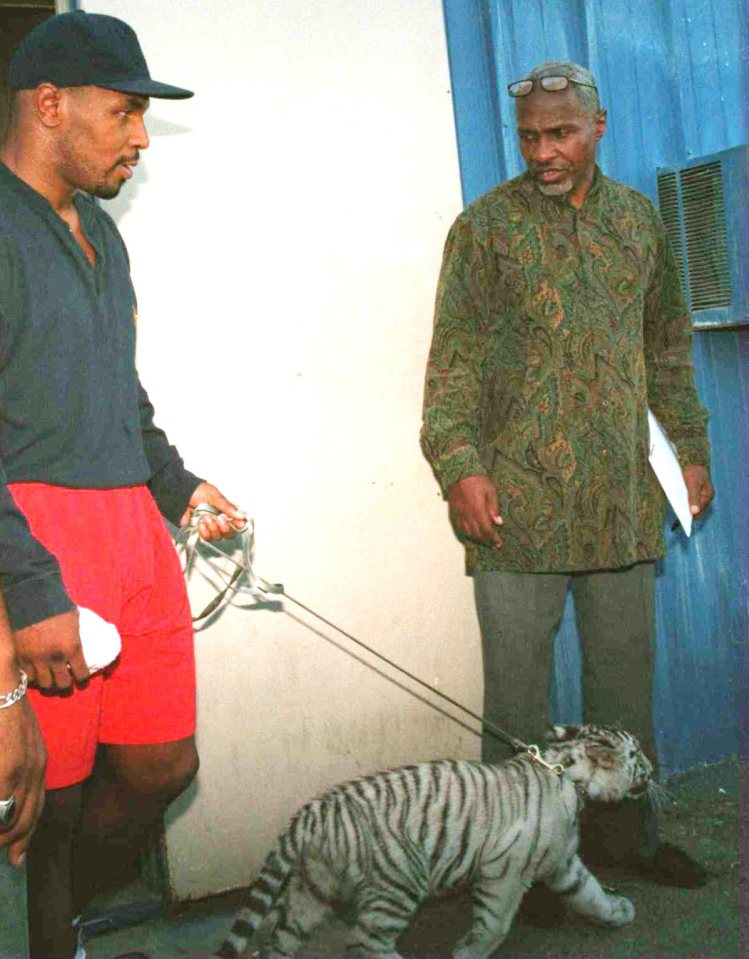  The former heavyweight world champ pictured with the tiger when it was a cub back in 1995