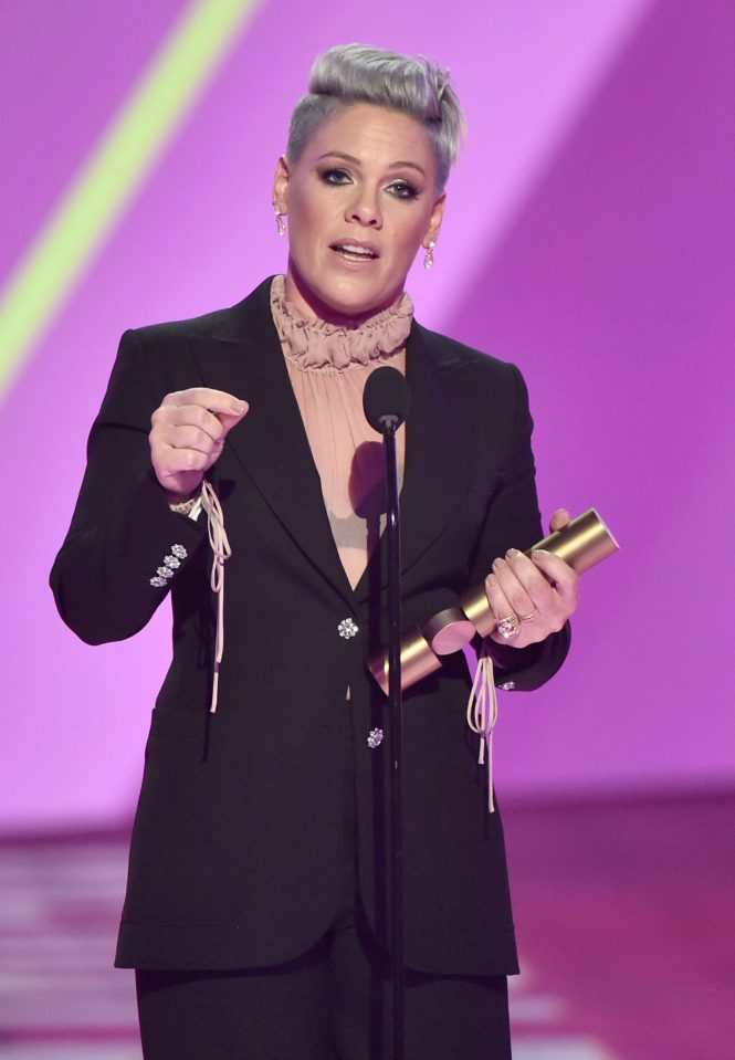  Pink gave a powerful speech about politics to the stars