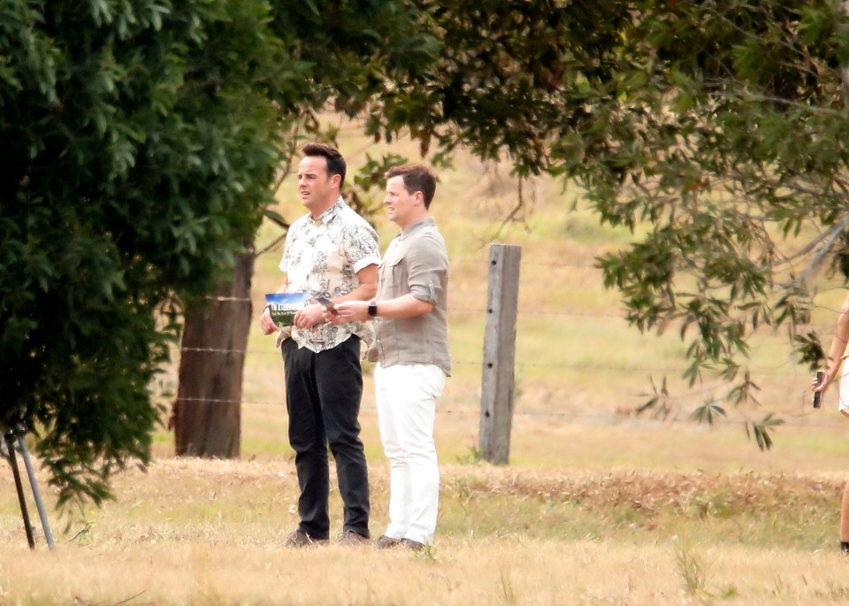  Ant and Dec introduced the task