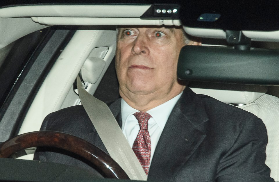 Prince Andrew is stepping down from official duties following a Newsnight interview on his relationship with Jeffrey Epstein