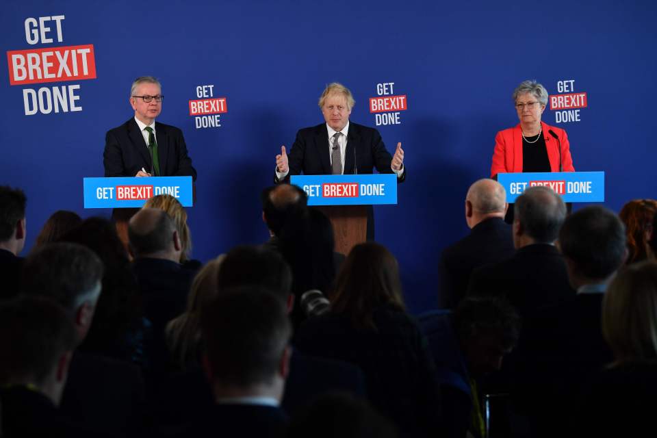 The PM appeared alongside his Vote Leave colleagues Gove and Gisela Stuart this morning