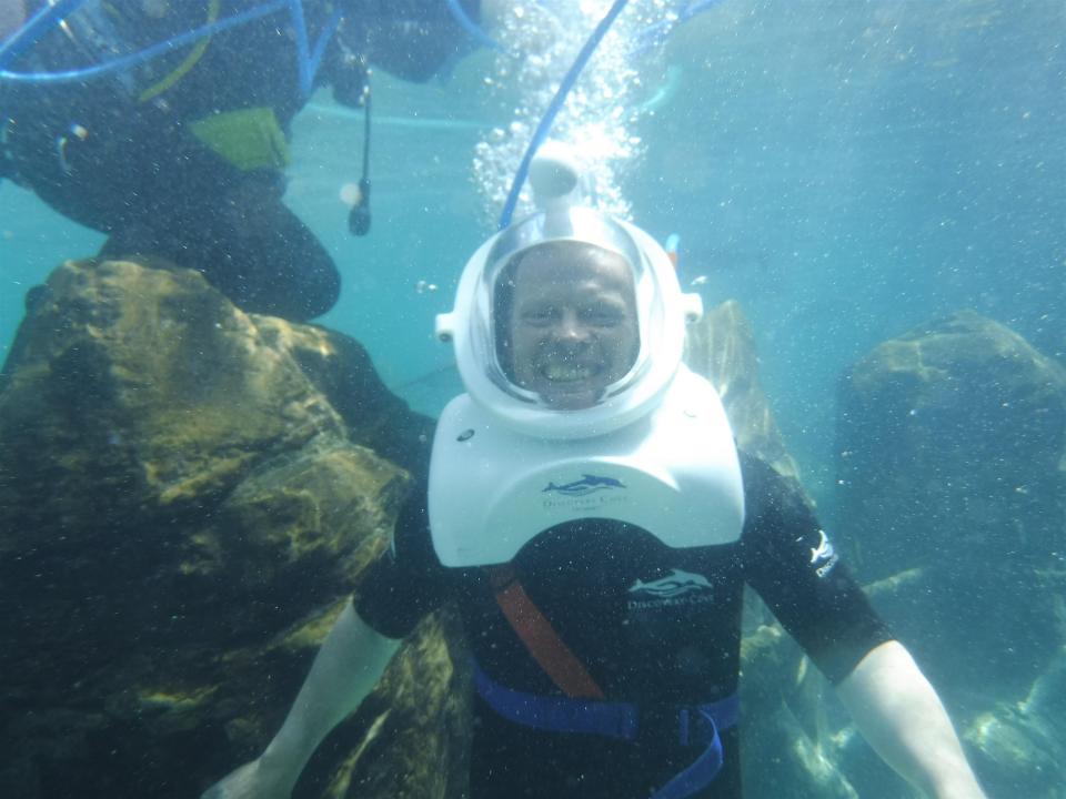 Take the SeaVenture walking tour to come face to face with a variety of fish