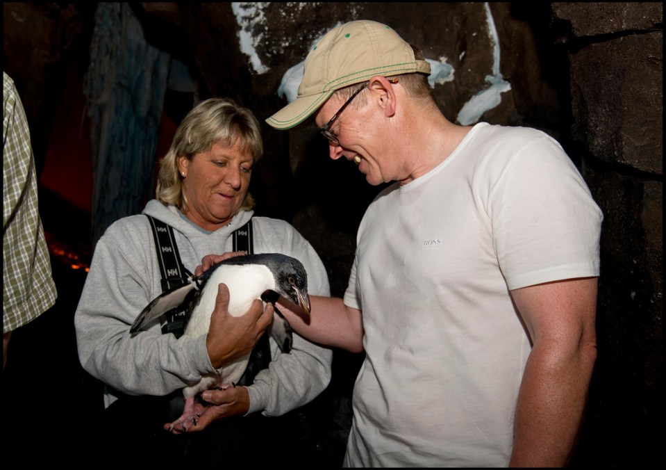 Baby rockhopper penguin Pipsqueak was the highlight of Sea World