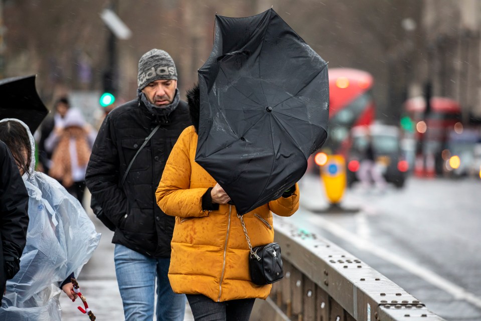  Voters face a rainy election day, in the first December election since 1923