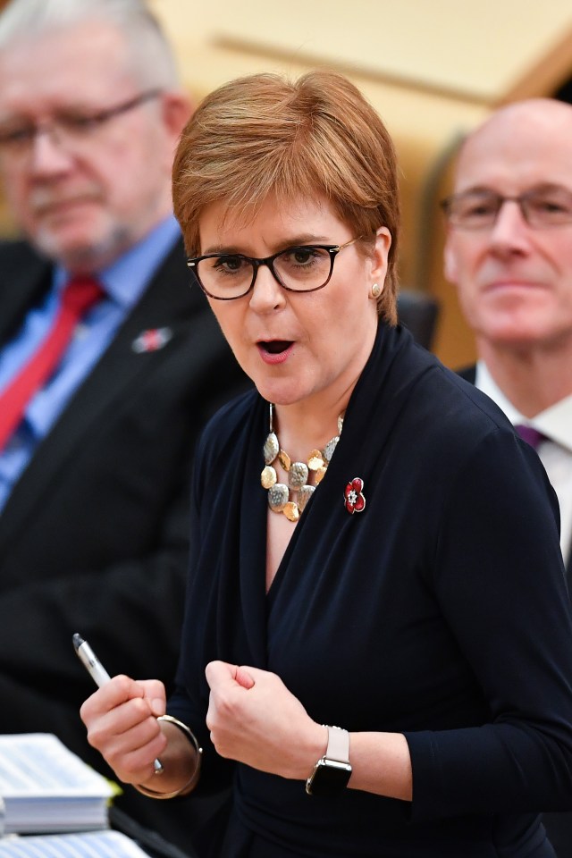 'Grinning like Janette Krankie on acid — Nicola Sturgeon of the SNP'