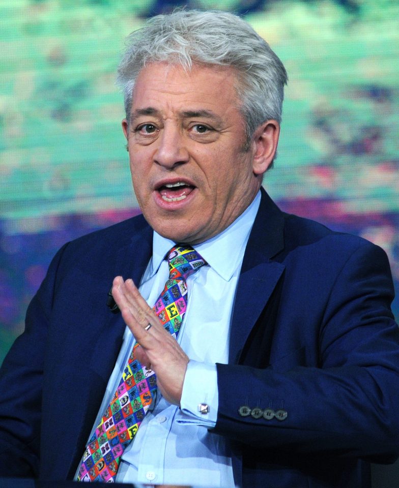 John Bercow has been reduced to bellowing ORDER ORDER to the baffled viewers of Italian TV