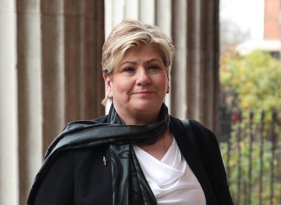 Emily Thornberry launched her campaign by suggesting Labour should have blocked the election