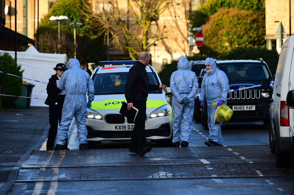  Cops investigate after a 29-year-old man was stabbed to death in Hanameel Street, East London, in the early hours of this morning