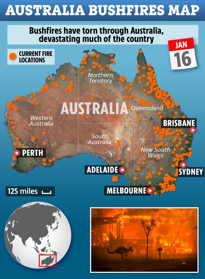  Australia has been hit by hundreds of devastating fires