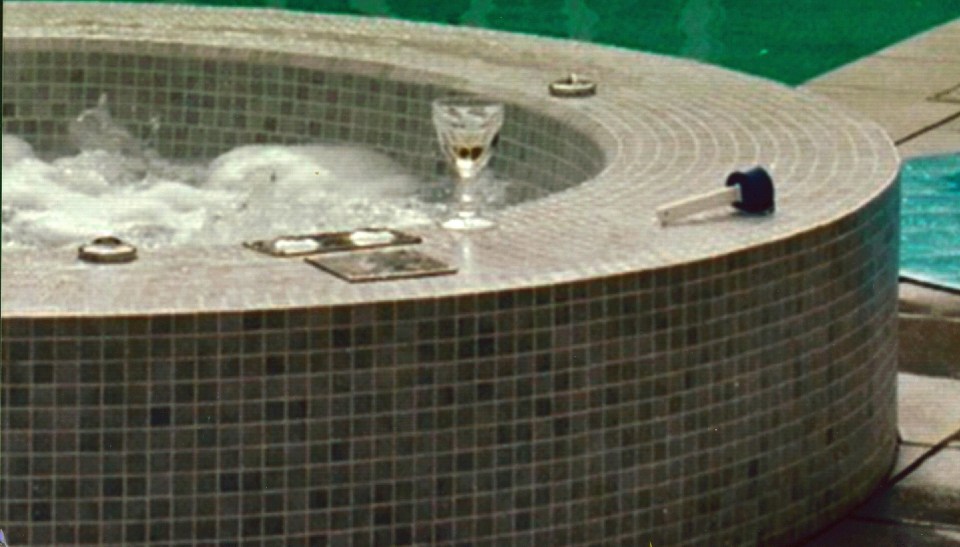 A pool thermometer at the scene at Barrymore's house