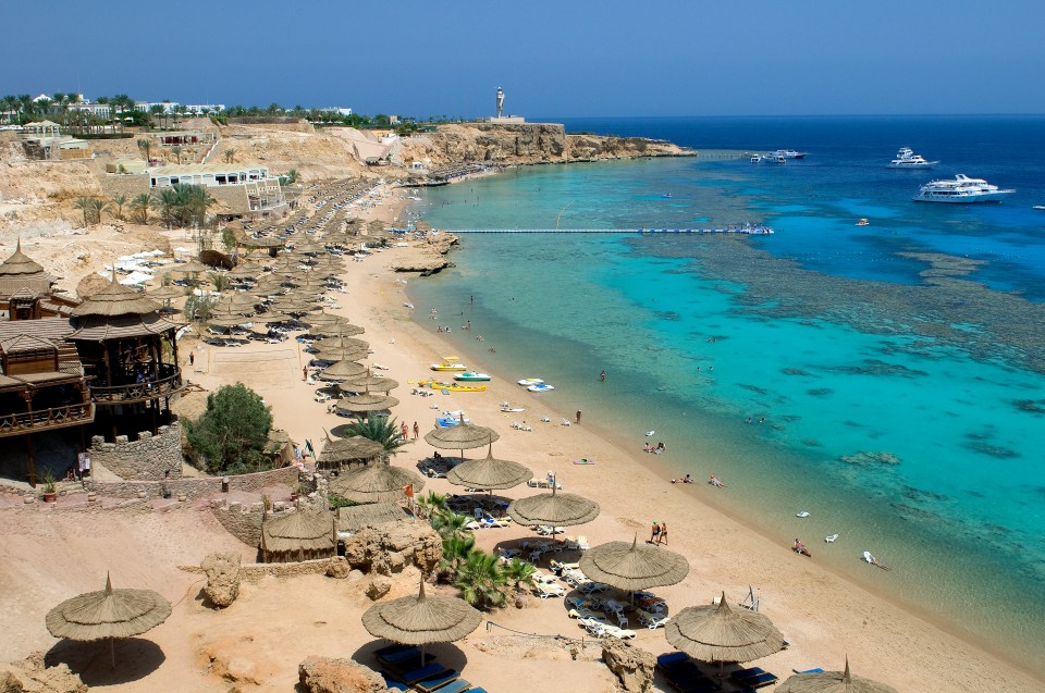 Terrorism in Egypt remains "highly likely"