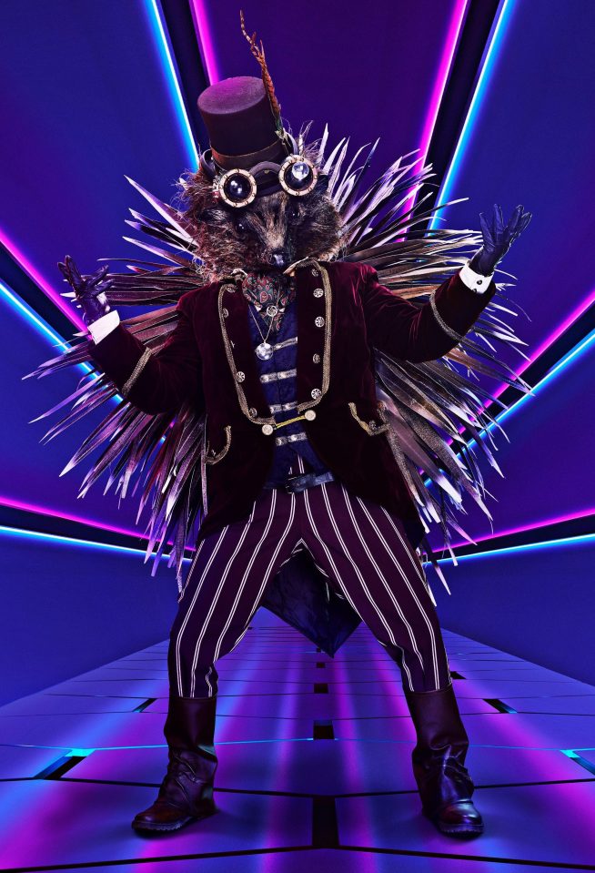 The judges think Hedgehog may be a comedian
