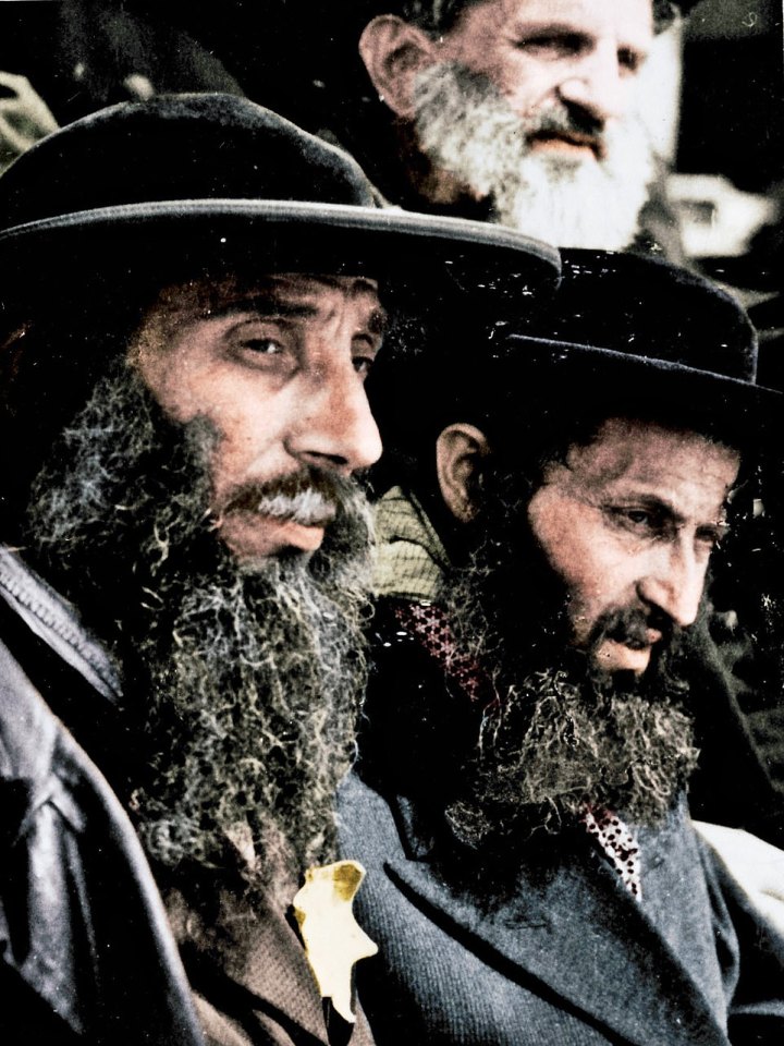 Two boys arrive at the death camp after being sent on a train from their homes