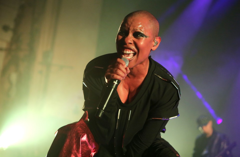 Viewers had guessed that Duck was Skin from Skunk Anansie