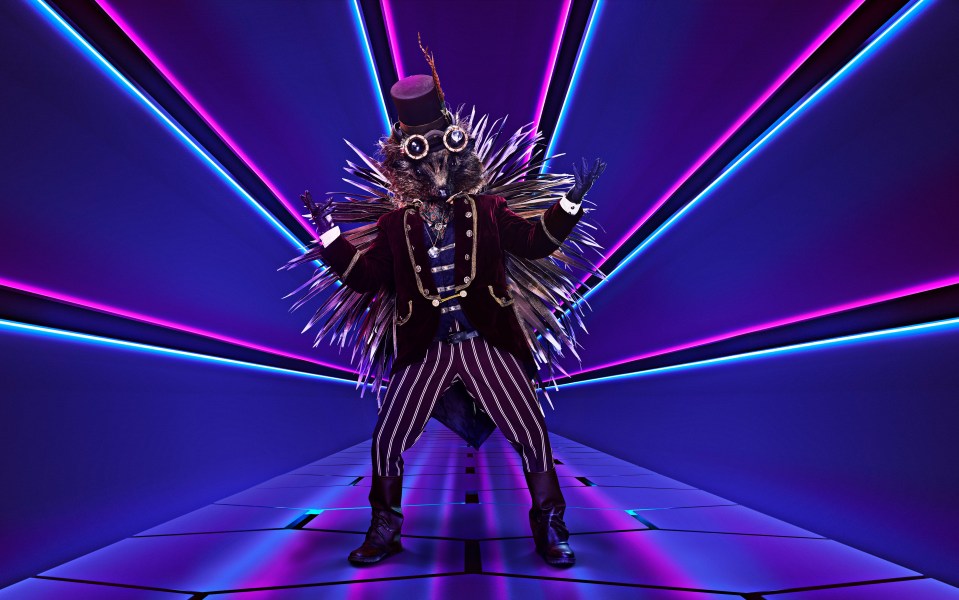 Who's behind the Hedgehog costume on The Masked Singer?
