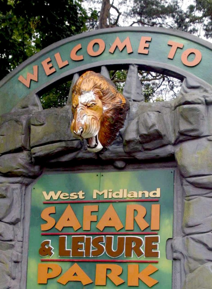  Staff at the safari park were 'absolutely devastated when they discovered the dead and dying sheep and deer'
