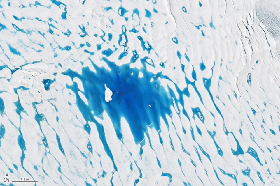  A Nasa satellite took this image of ponds of meltwater on the George VI ice shelf in Antarctica at the start of this year