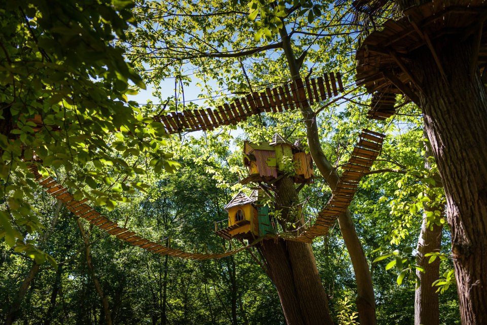 The Sky Walk is eight metres from the ground