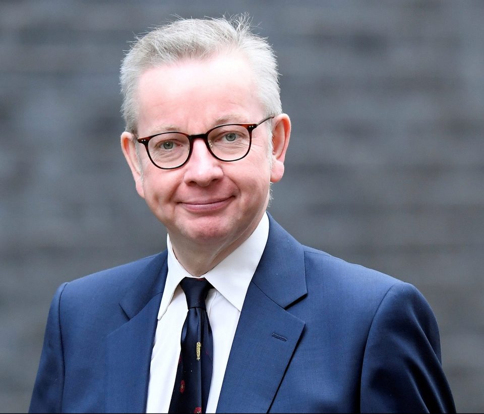  Michael Gove admitted that a future security deal with the EU 'may not be concluded' by the year’s end