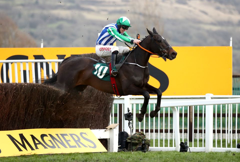  Chosen Mate gave Elliott a seventh winner of the week