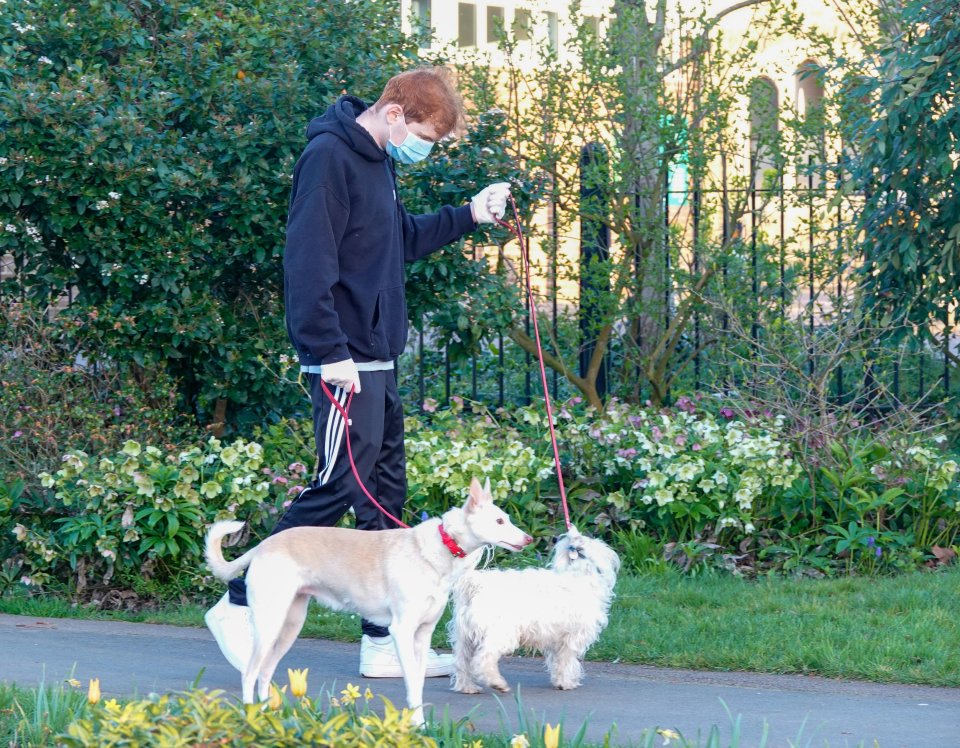  People need to stop driving to other places to walk and exercise - leave the roads free and walk locally