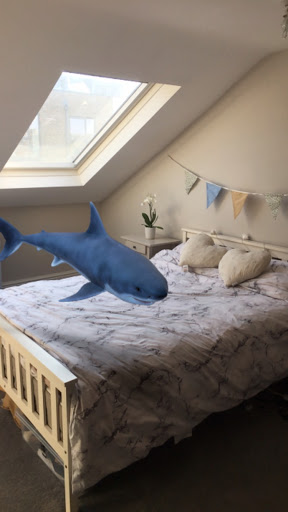  A shark swimming about the room