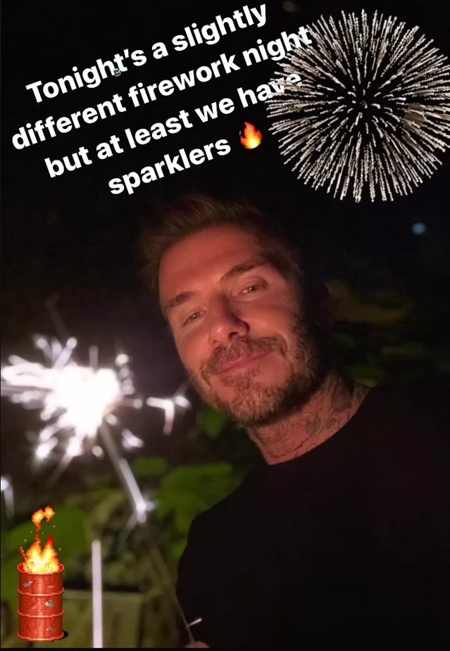  The family enjoyed a firework display in their huge garden last night