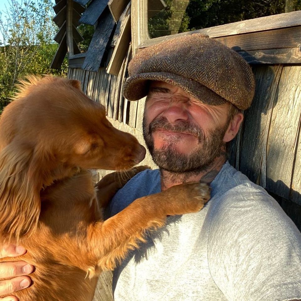  Sage tried to get a kiss off David in the garden earlier this year