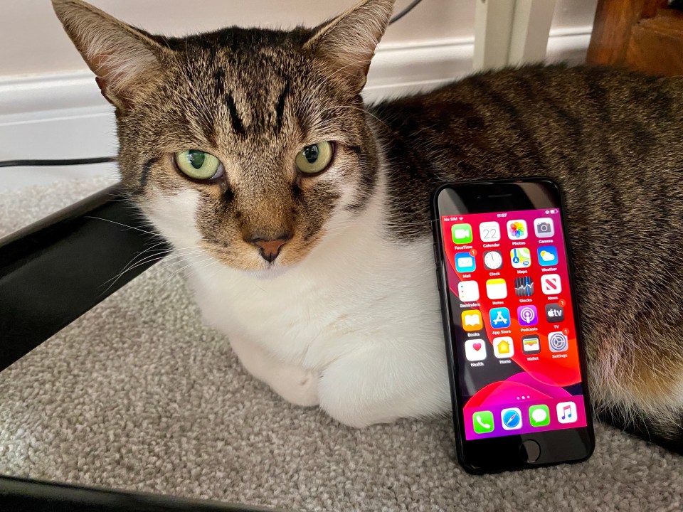 New iPhone SE review