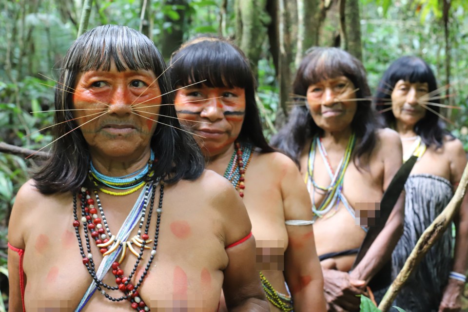 Four Matses women out for a hunt