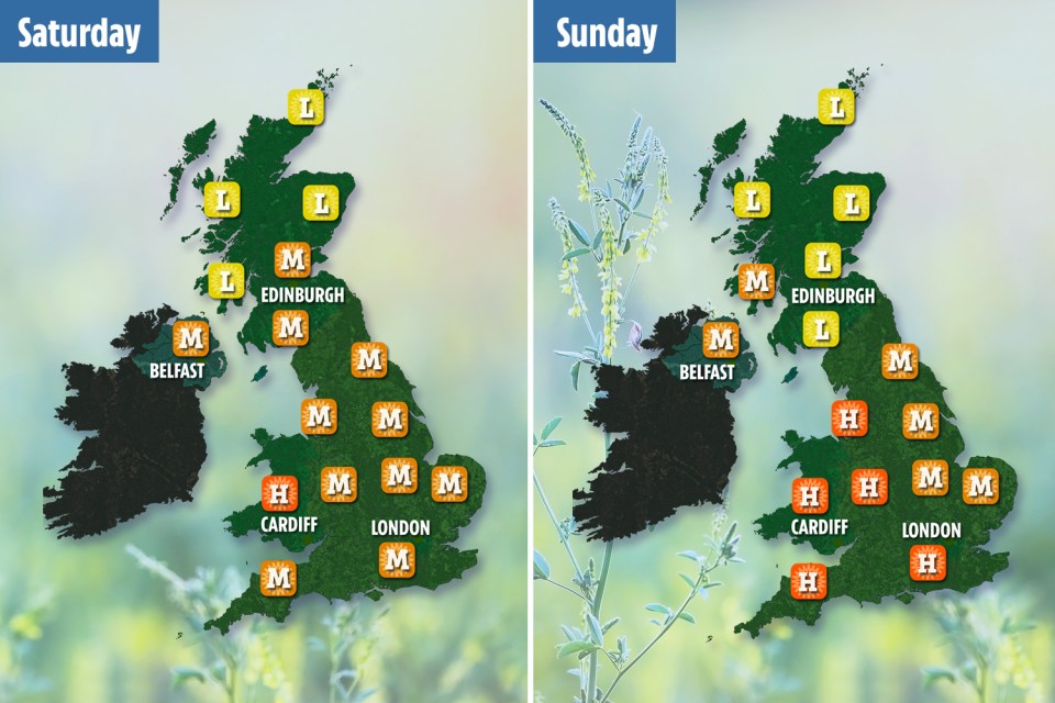  High pollen levels will continue over the weekend