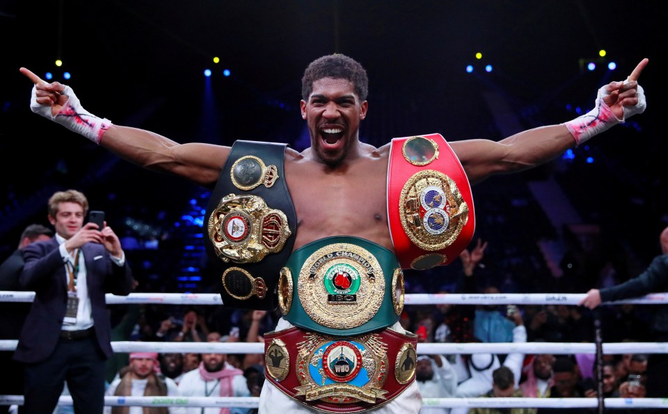  Kubrat Pulev gets the chance of a lifetime when he fights Joshua for four belts