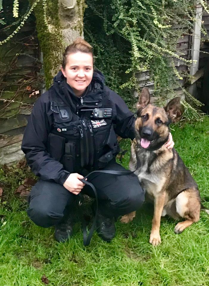  Nelson Nelson, 28, whacked police dog Quantum and attacked his handler, PC Jennie Ellse, after being asked if his train journey was essential