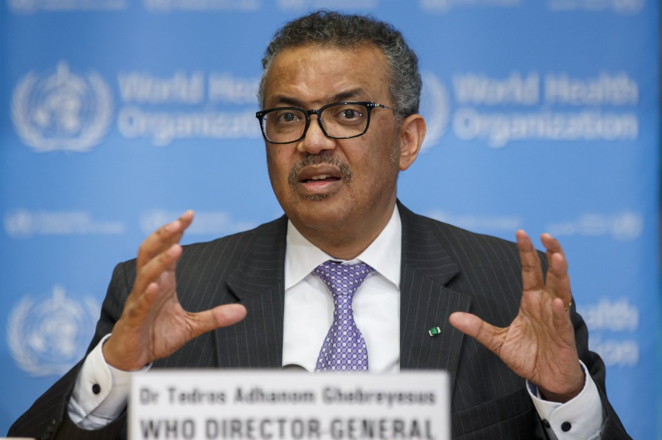  Dr Tedros Adhanom, former Health Minister and Foreign Minister of Ethiopiais the current WHO Director-General