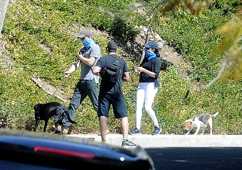  Prince Harry and Meghan Markle wore bandanas to protect against coronavirus as they took their dogs out for a lockdown stroll