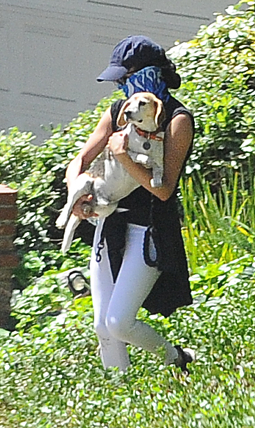  A source says the dogs looked exhausted after the long hike, with Meghan Markle even having to carry the beagle back because he was so worn out from the heat