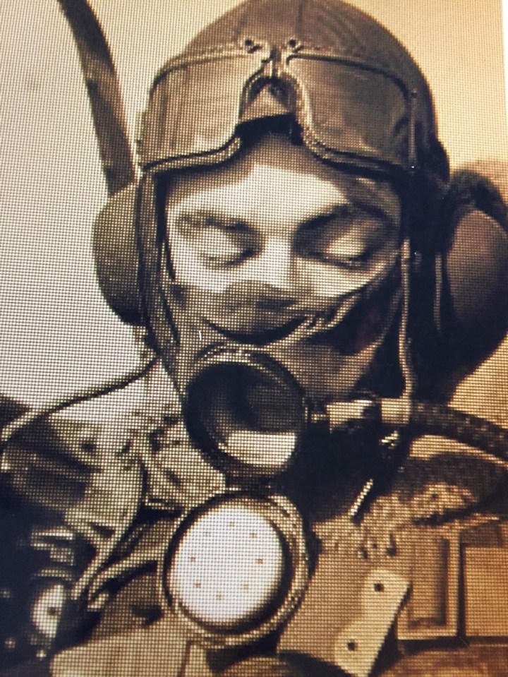Battle of Britain hero