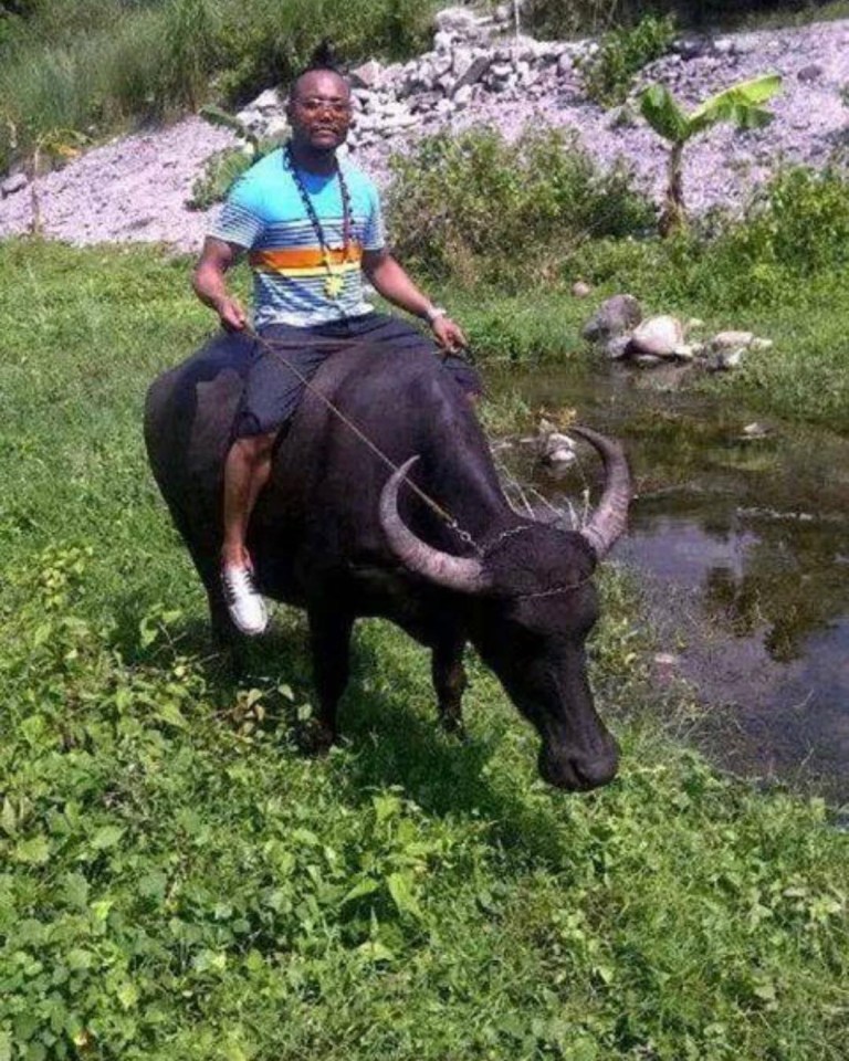  Apl.de.ap has a secret side career of farming, making his dreams of becoming a 'cool farmer' growing up a reality