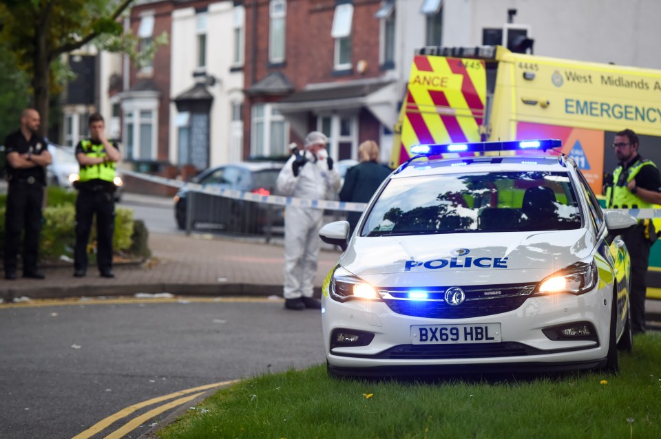 MAN, 20 , STABBED TO DEATH IN BROAD DAYLIGH