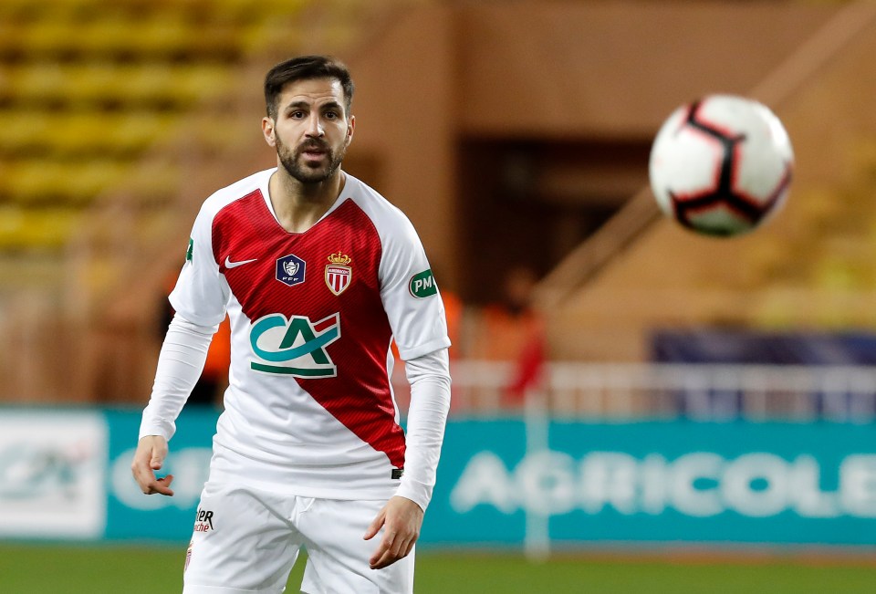  Cesc Fabregas says that the decision to end the French season may have been made too early
