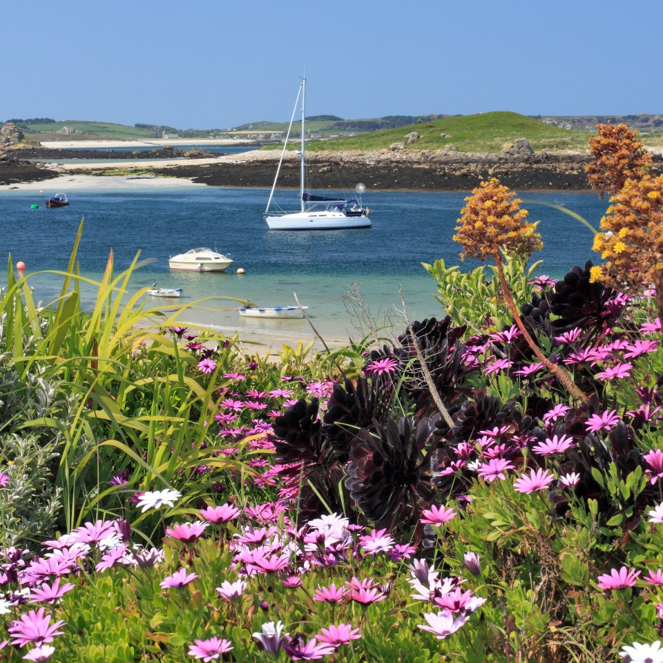 Colourful vegetation beautifully frames this photograph of St Martin's in the Isles of Scilly