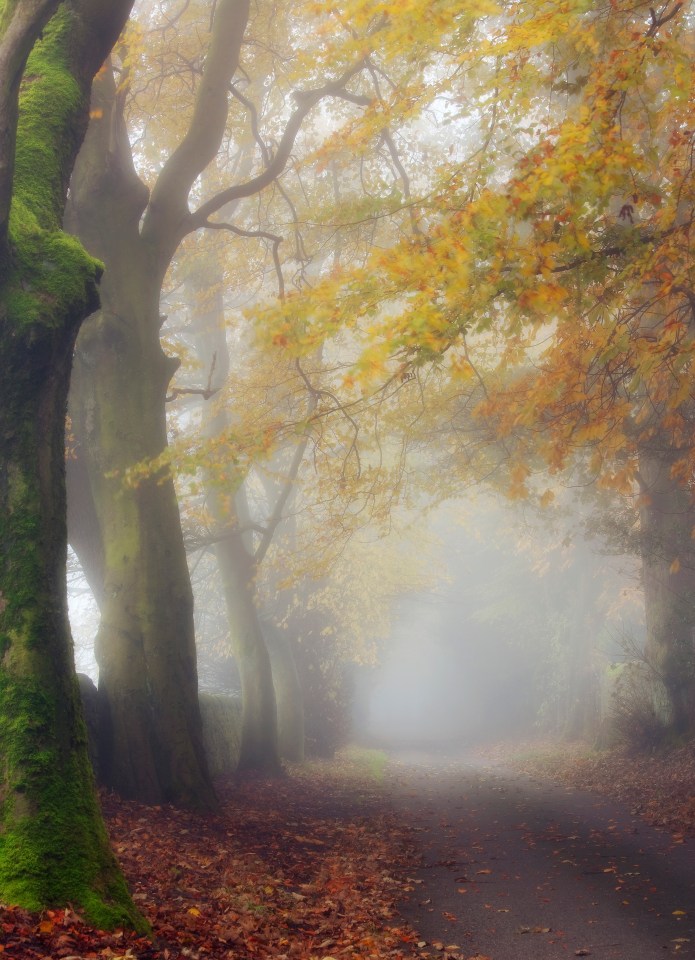  Fog created an atmospheric shot of this country lane in Calderdale, West Yorkshire
